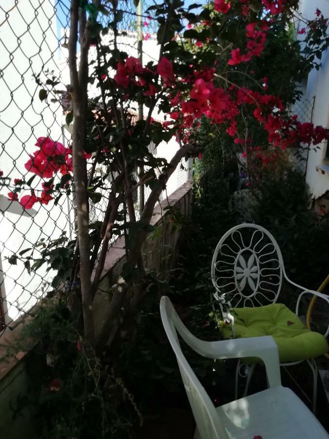 Can Pau Guesthouse Llança Εξωτερικό φωτογραφία