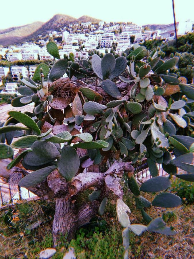 Can Pau Guesthouse Llança Εξωτερικό φωτογραφία